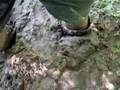adv2008062702al