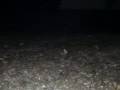 Thunder sleet & hail Derby, KS