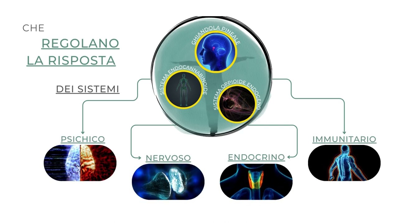 Stress e infiammazione