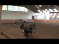 Authentic Horse Arts: Impressionen aus unserer Arbeit