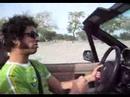 Look! A monkey driving a sports car! Look! A monkey driving a sports car!