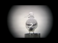 Black-legged Kittiwake Black-legged Kittiwake