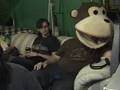 MayhemCam: Stoke Monkey Returns