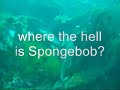 square pants.wmv