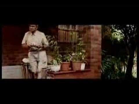 Steve Hoffmeyr – Pampoen