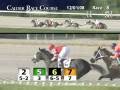 videos de CALDER RACE COURSE, 2008-12-01, Race 8