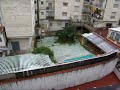 nieve