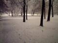 Snow whistling