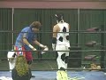 Barnyard Brawl - All Hell Breaks Loose