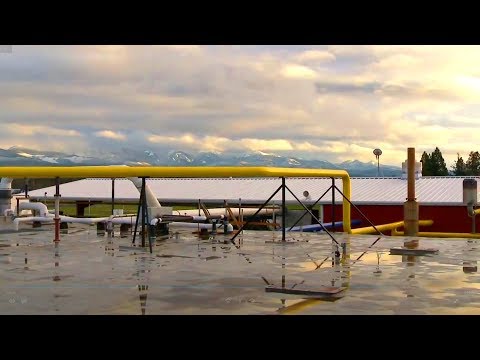 YouTube Video Placeholder