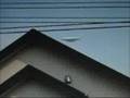 日本で撮影されたUFO / UFO was witnessed in Japan