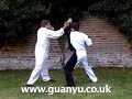 Bob Fermor and Dave Watts Foo Kuin Tiger Fist and Techniques