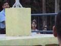 LAS DIVINAS COLEGIO GANTE