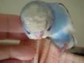 videos de 090105_1301~0001.m4v
