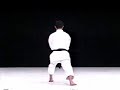 Abe Ryoki - Saifa