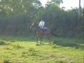 videos de lasting impression new remix 09