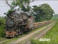 ???????????/Dahuichang Narrow Gauge - Steam Loc - 2004.07.27