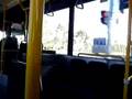 Transporte Publico 1: Autobus