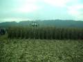 Claas aux champs 2008 5