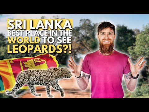 Exploring YALA NATIONAL PARK | Best Safari Outside Of Africa!