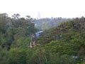 Bat Colony - Sittwe