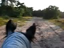Bo en ik op de Rucphense Heide