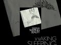 Waking Sleeping Beauty