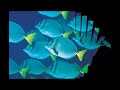 beautiful conservation marine [HQ]