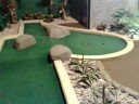 crazy jungle golf at traford crazy jungle golf at traford