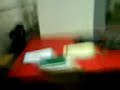 imitando a el profe chuky