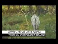 2008   fattori e il naturalismo in toscana ita 02