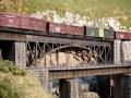 NdeM cattle train.Raymundo Collada