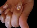 Unhas Decoradas: Passo a Passo, 1ª aula
