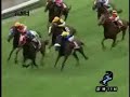 2007 ???????? Rose Stakes