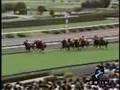 第12回秋華賞(gi)京都2007年4回5...