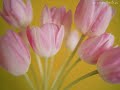 Teraz to jest teraz [z filmu: Tulipany] - Daniel Bloom
