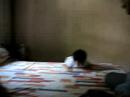 Arnav swimming