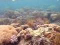 videos de Conquering Coron - 1