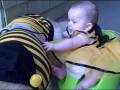 videos de Bumble Bee's