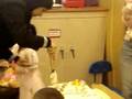 sametha's birthday