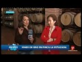 CLM EN VIVO FINCA LA ESTACADA