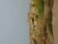 Thatta Tour
