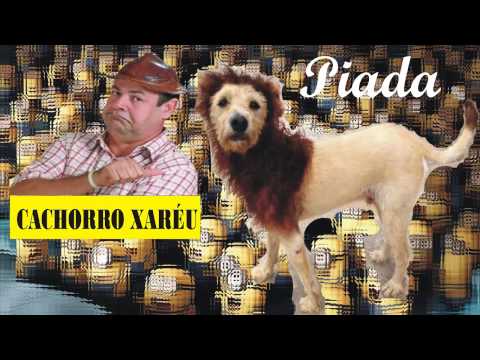 Zé Lezin - O Cachorro Xaréu