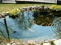 shishi odoshi autocostruito a cavaria (va)