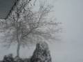 Blizzard 2007 Saskatoon