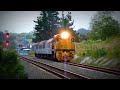 The Albertlander Departing Swanson