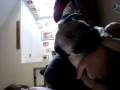 videos de MOV01584.MPG