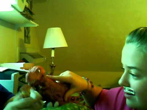 110406-170426.wmv