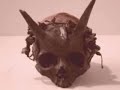 ONE OF THE MOST CRAZIEST SKULLS EVER FOUND STOLEN NOT ON RECORD!!
