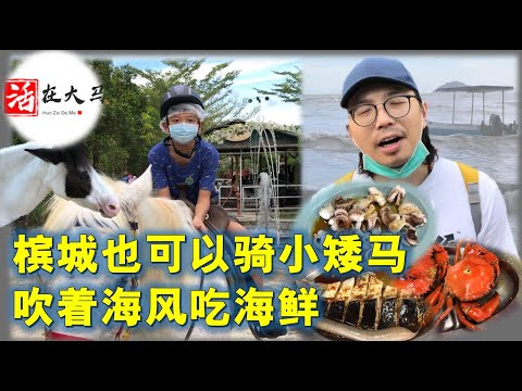 活在大马33:老城新玩,槟城也可以骑小马,到隐藏海边的海鲜店吃魔鬼鱼,活在槟城的北京孩子,不一样的玩法